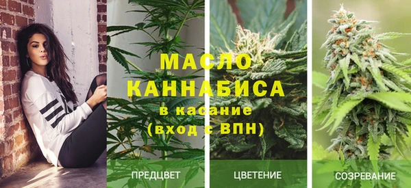 ГАЛЛЮЦИНОГЕННЫЕ ГРИБЫ Зеленодольск