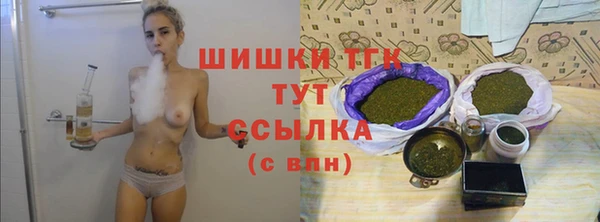 крисы Зерноград