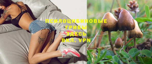 спиды Зеленокумск