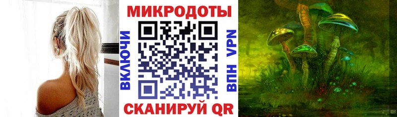 Псилоцибиновые грибы Cubensis  Купить закладки  Рудня 